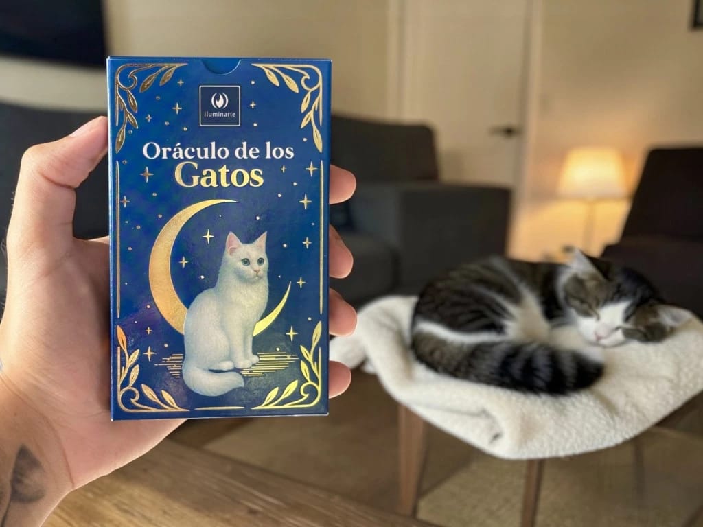 Foto de ORACULO DE LOS GATOS